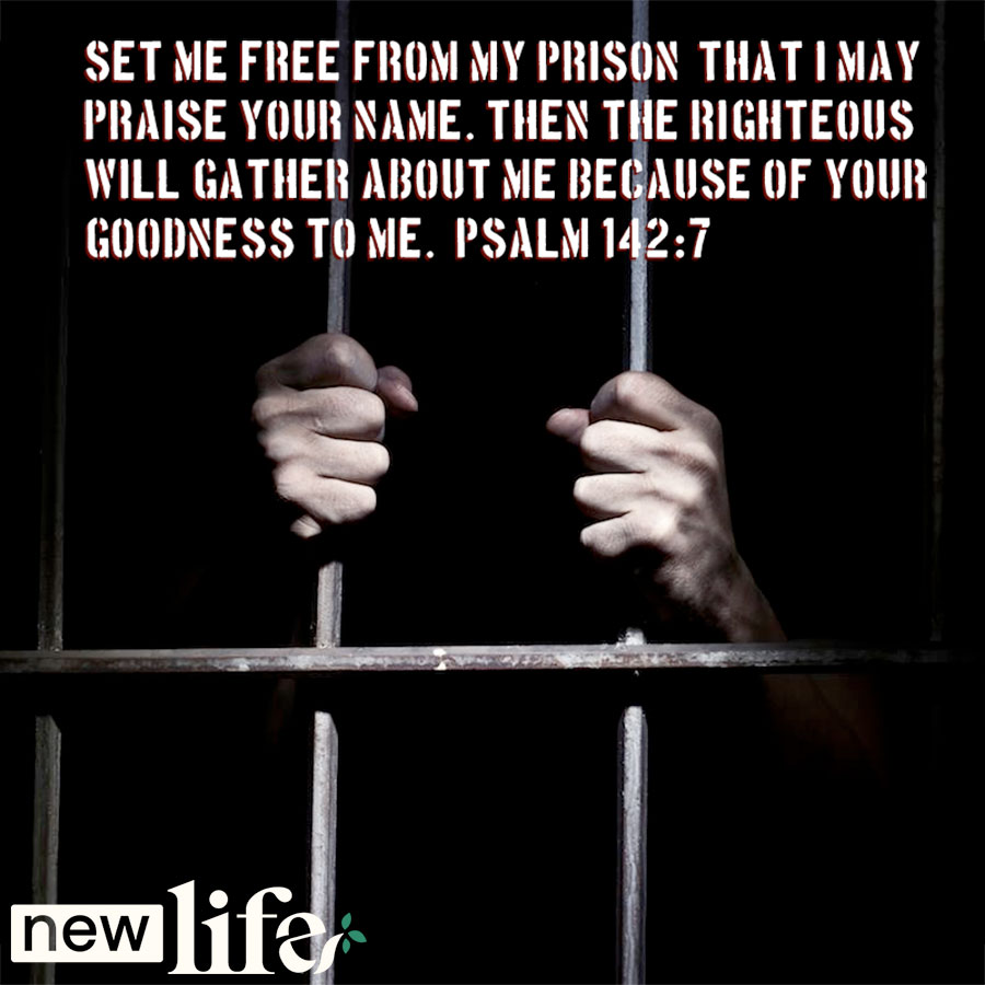 Winning Prisoners