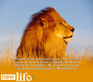 Balanced View of Jesus