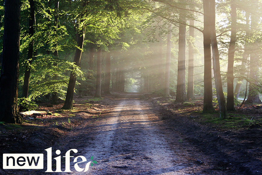 What To Do When You Lose A Loved One To Suicide