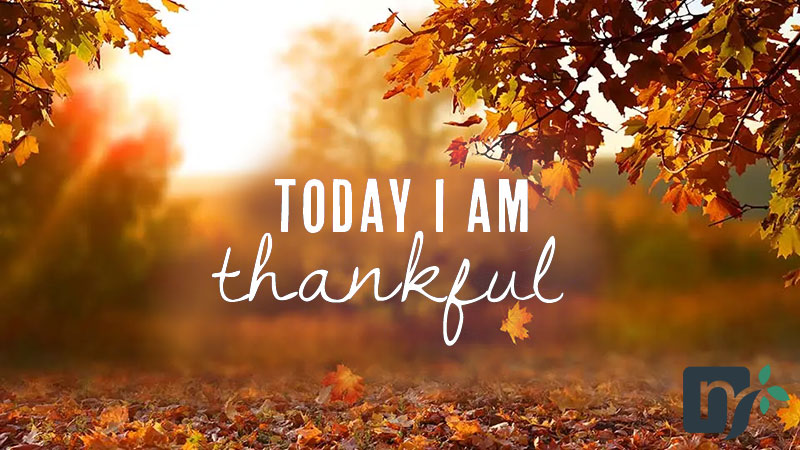 Practicing Thankfulness at Thanksgiving