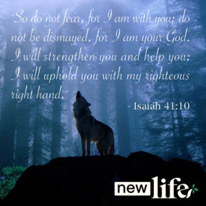 Wolves in the Dark